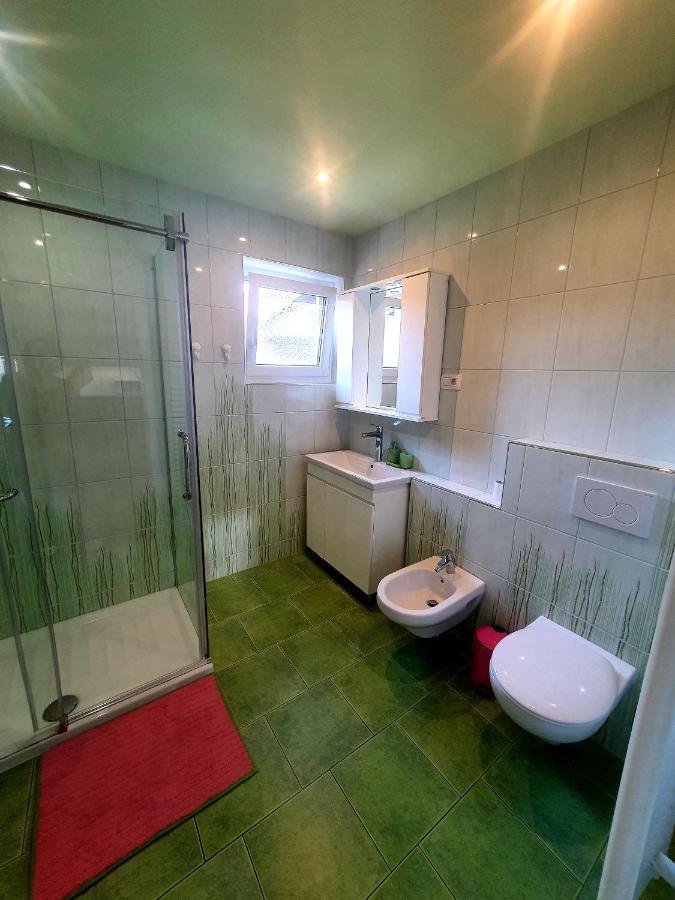 Apartma David 지고르니예 고르예 외부 사진